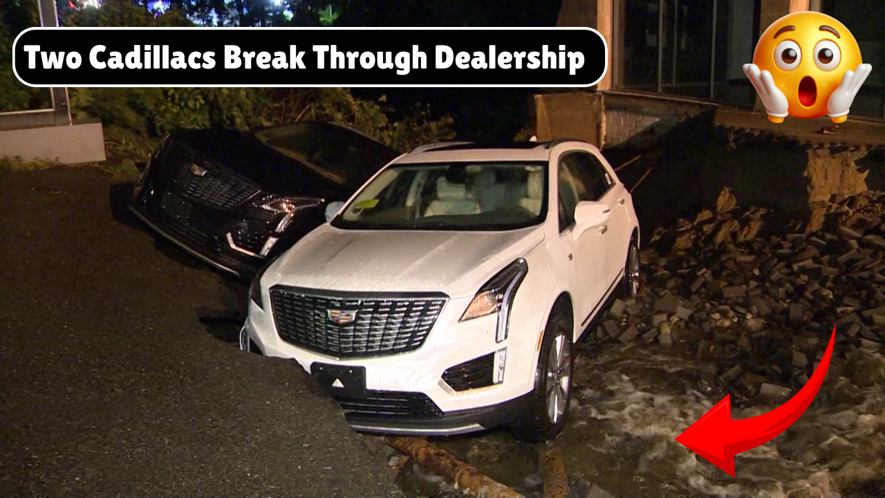 Two Cadillacs Break Through Dealership Window in Bizarre Incident